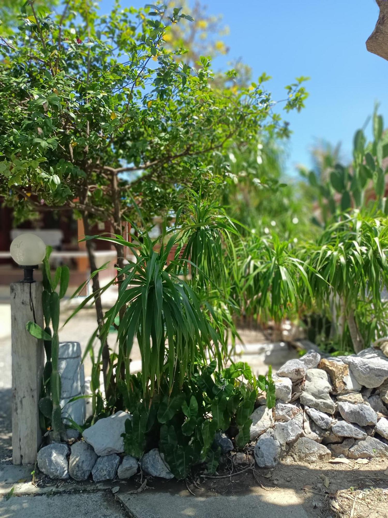 Vila บาคัสโฮมลอร์ด Haad Chao Samran Exteriér fotografie